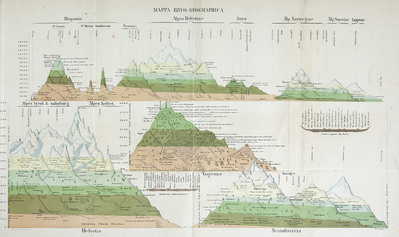 13687
<br/>
Synopsis Muscorum Europaeorum praemissa introductione de elementis bryologicis tractante
<br/>
<em></em>